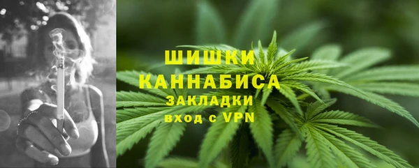 spice Алзамай