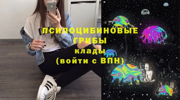 ешки Алексеевка