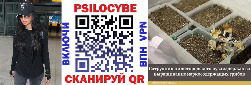 Галлюциногенные грибы GOLDEN TEACHER  Дивногорск 