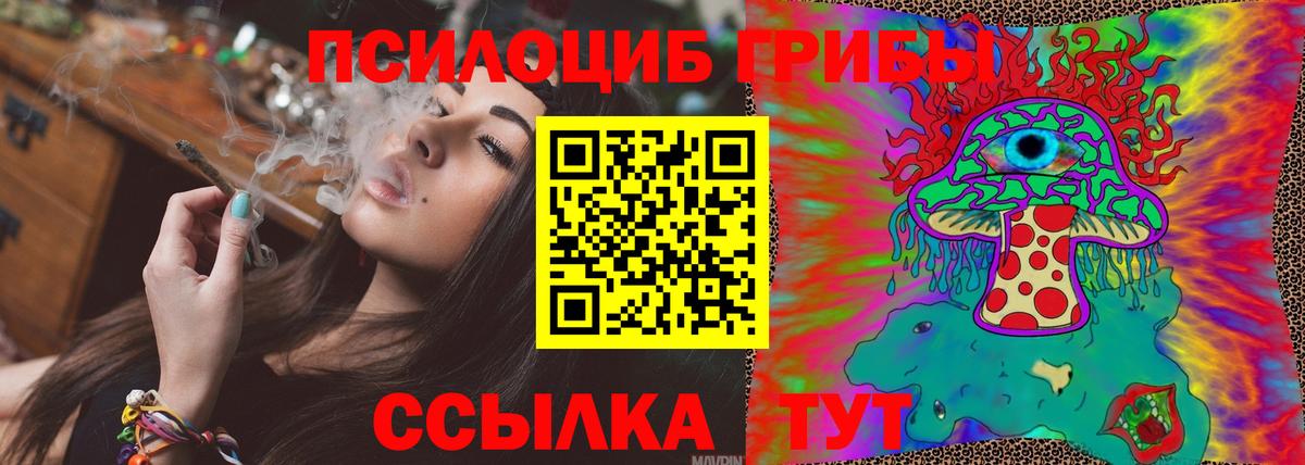 Псилоцибиновые грибы MAGIC MUSHROOMS Дивногорск
