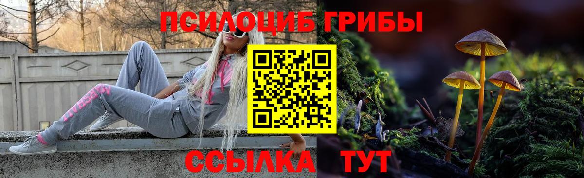 Дивногорск  Галлюциногенные грибы Cubensis  Вход с VPN 
